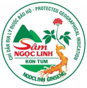 Công bố Logo Chỉ dẫn địa lý Ngọc Linh tỉnh Kon Tum