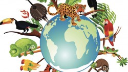 Sẽ tổ chức hưởng ứng Ngày quốc tế Đa dạng sinh học năm 2022 tại Vườn di sản ASEAN Vũ Quang