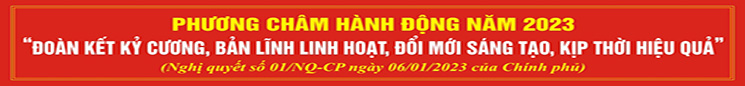 20230130014838 Phuong cham 2023
