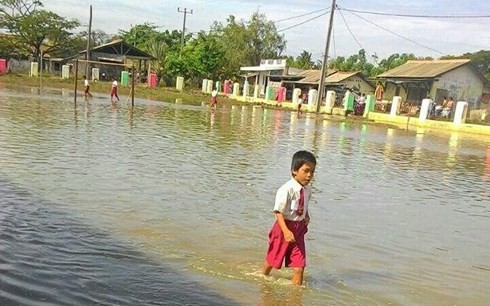 Indonesia chạy đua với thời gian để đối phó biến đổi khí hậu