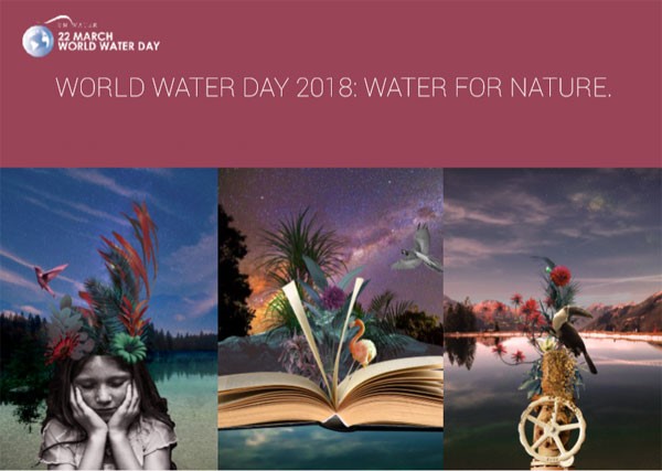 "Nước với thiên nhiên" là chủ đề Ngày Nước thế giới 2018