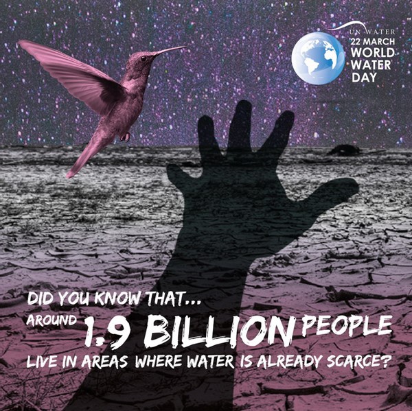 Bạn có biết khoảng 1,9 tỷ người đang sinh sống ở những vùng khan hiếm nước?