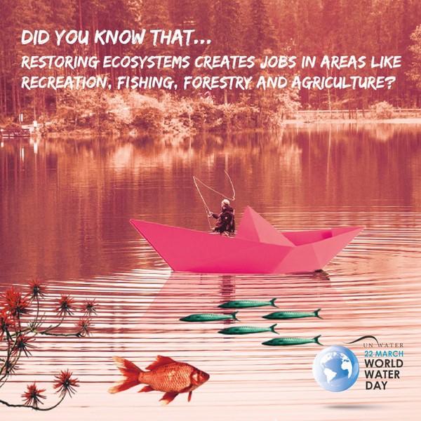 Bạn có biết rằng hệ sinh thái đã tạo ra việc làm cho các ngành như giải trí, đánh bắt cá, lâm nghiệp và nông nghiệp?