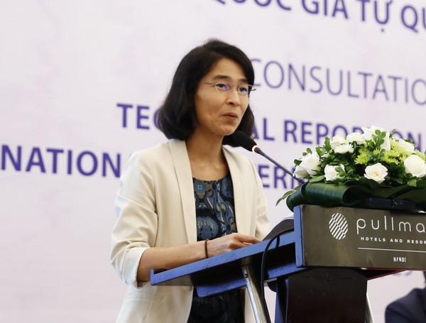 Bà Akiko Fujii, Phó Giám đốc Quốc gia Chương trình phát triển Liên hợp quốc (UNDP) tại Việt Nam phát biểu tại Hội thảo