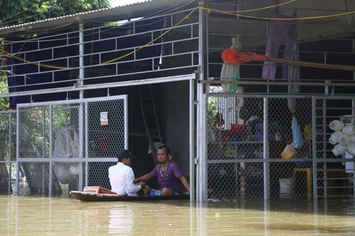Ngập lụt gây xáo trộn cuộc sống người dân 2 huyện Chương Mỹ và Quốc Oai, TP Hà Nội. Ảnh: Huy Thanh