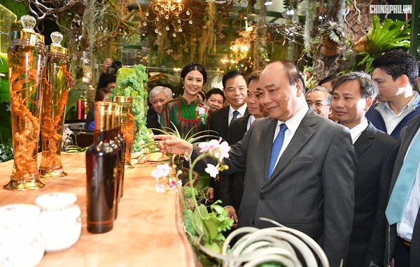 Thủ Tướng Nguyễn Xuân Phúc tham quan tại Hội nghị phát triển Sâm Ngọc Linh và các dược liệu khác tại Kon Tum – 9/2018