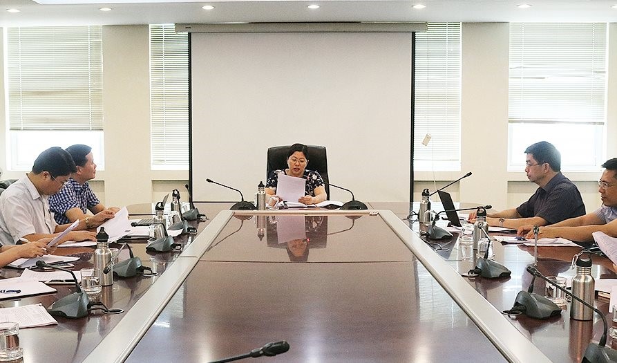 Thứ trưởng Bộ TN&MT Nguyễn Thị Phương Hoa phát biểu chỉ đạo tại cuộc họp