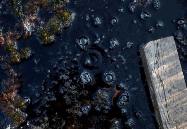 Bong bóng khí mêtan ở một khu vực đầm lầy thuộc trạm nghiên cứu ở Stordalen Mire gần Abisko, Thụy Điển. Ảnh: Reuters